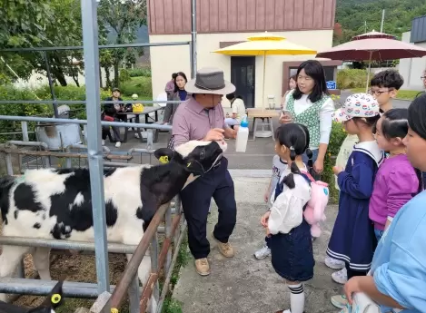 메인사진