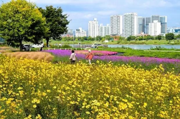 메인사진