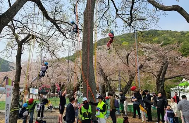 메인사진